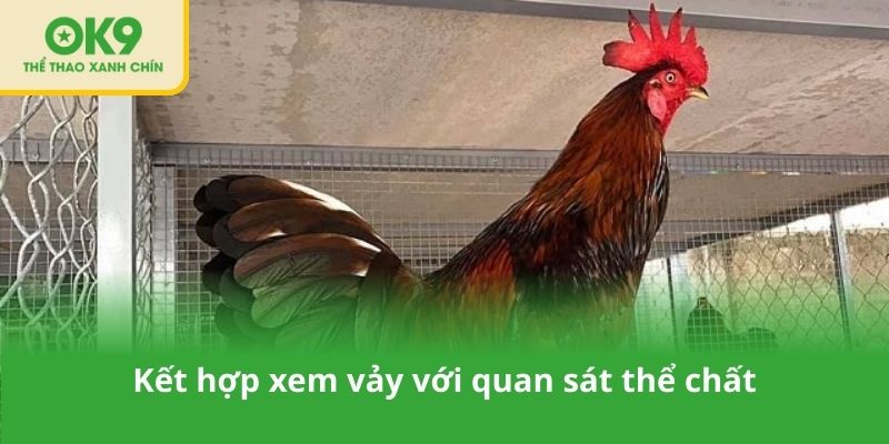 Kết hợp xem vảy với quan sát thể chất