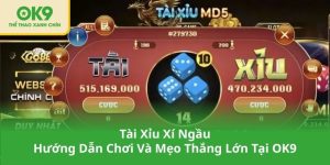 Tài Xỉu Xí Ngầu Hướng Dẫn Chơi Và Mẹo Thắng Lớn Tại OK9