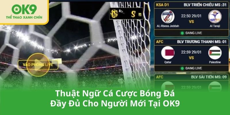 Thuật Ngữ Cá Cược Bóng Đá Đầy Đủ Cho Người Mới Tại OK9
