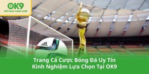 Trang Cá Cược Bóng Đá Uy Tín - Kinh Nghiệm Lựa Chọn Tại OK9